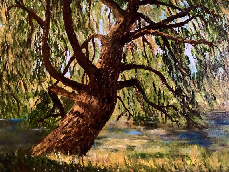 A weeping willow